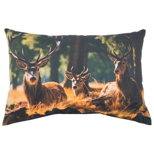 Stag pack kussen 40x60cm